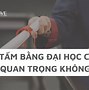 Nếu Không Đậu Đại Học Thì Làm Gì