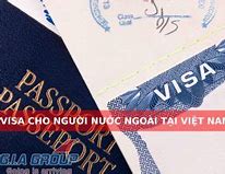 Người Nước Ngoài Vào Việt Nam Có Cần Visa Không