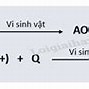 Quá Trình Quang Khử Là Gì